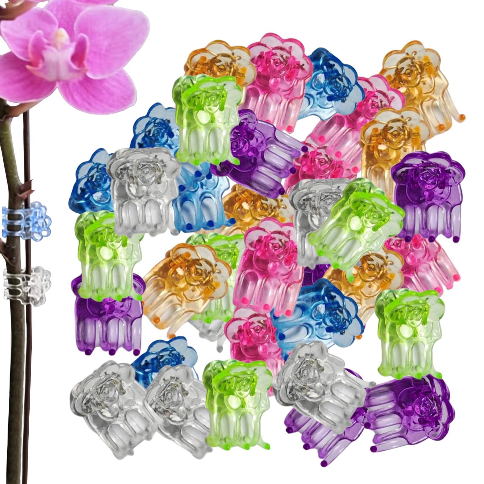 オーキッドクリップ 60個入り 蝶型花茎サポートクランプ 温 - Greenhouse Plastic Film のレビューと価格