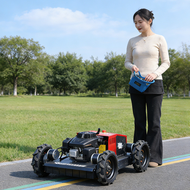 カスタマイズ可能なヘビーデューティーリモート式フレールモア、 - Agriculture Farming Practices のレビューと価格