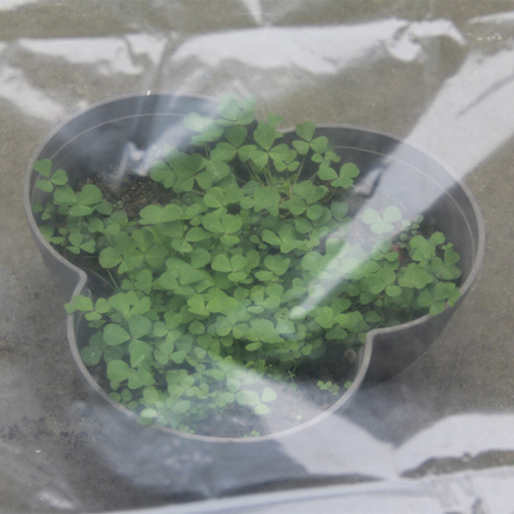 透明な温室野菜栽培用カバー、透明プラスチック製小型アーチ型小 - Greenhouse Plastic Film のレビューと価格