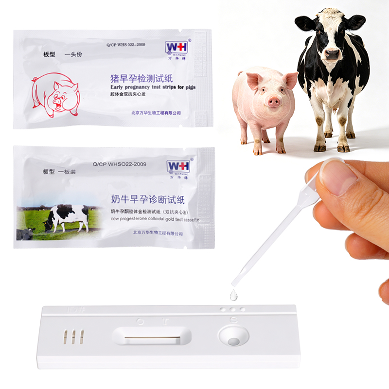 10 個の家畜早期妊娠検査ストリップ、豚と牛用、牛妊娠検査キ - Veterinary Syringe Gun のレビューと価格