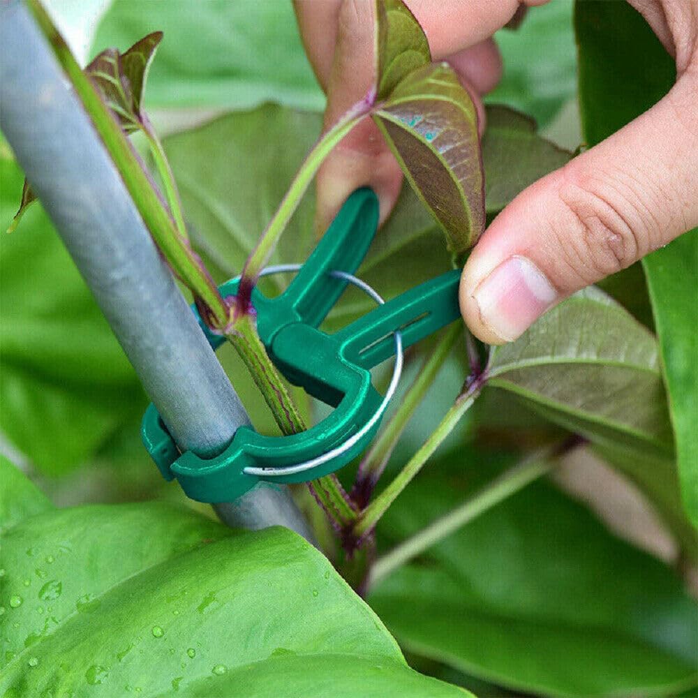 頑丈な園芸用植物クリップ 再利用可能なクイッククリップ グリ - Greenhouse Plastic Film のレビューと価格